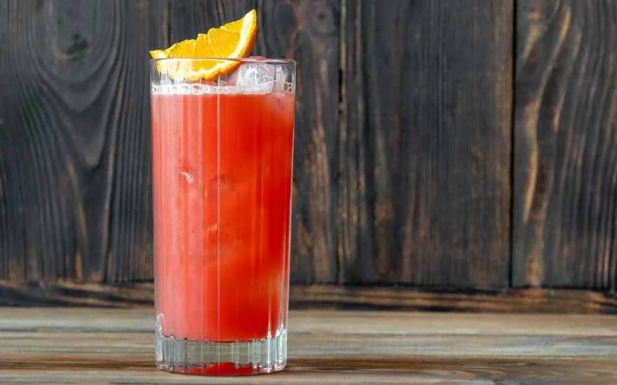 Cheers to Uniqueness: 6 Must-Try Highball Cocktails You've